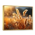 thumbnail image 2 of Designart "Country Charm landscapes Of Gold" Landscapes Floater Framed Wall Art Living Room, 2 of 7