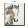 thumbnail image 3 of 32" x 36" Horse Framed Wall Art with Gold Frame, by DecMode, 3 of 8