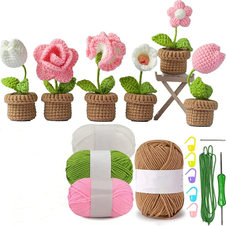 Beginner Crochet Kit, Crochet Kit for Starter,3 Pcs Mini Flowers Potted  Kit, Crochet Hooks Set, Crochet Kits with Step-by-Step Instructions and  Video