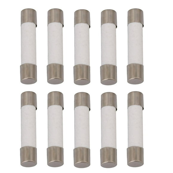 For 10pcs 30Amp 250Volt Slow Blow Ceramic Cartridge Fuse for Microwaves Oven WS1903