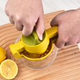 Black and Friday Savings Clearance Deals 2024!Zeceouar Lemon Squeezer
