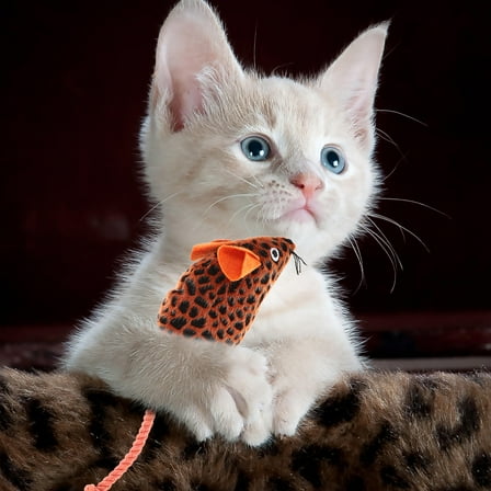 LEORX Cat Toy Kitten Plush Orange for Daily Entertainment 1Pcs