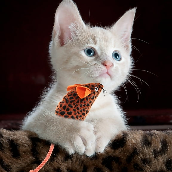 LEORX Cat Toy Kitten Plush Orange for Daily Entertainment 1Pcs