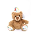 thumbnail image 1 of Cuddly Keepsakes – Birthday Bear, 1 of 4