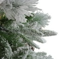 thumbnail image 2 of Northlight Real Touch™️ Pre-Lit Full Flocked Rosemary Emerald Angel Pine Artificial Christmas Tree -, 2 of 8