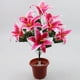 thumbnail image 5 of Cateissary Flor artificial de Lilium, flores artificiales realistas y duraderas para decoraciones Flores artificiales Rosa profundo, 5 of 6