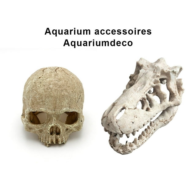 Langgg Résine Dinosaure Crâne Aquarium Décoration Terrarium Reptile Poisson Réservoir Ornement