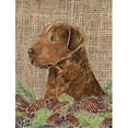 thumbnail image 1 of Carolines Treasures SS4108GF 11 x 15 In. Curly Coated Retriever Flag- Garden Size, 1 of 3