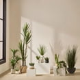 thumbnail image 4 of Bouclair White Artificial Grass in Ribbed Ceramic Vase, 4 of 4