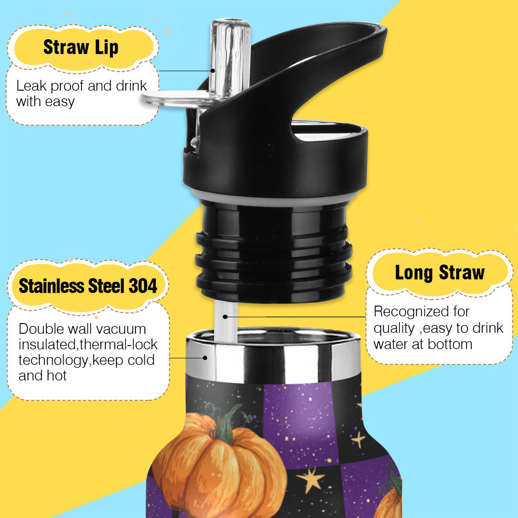 Kids Insulated Stainless Steel Sports Water Bottle 600ml (20oz) Purple Plaid and Pumpkins