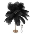 thumbnail image 1 of Lámpara de mesa decorativa con 30 plumas, recargable por USB, control táctil, color negro, 1 of 14