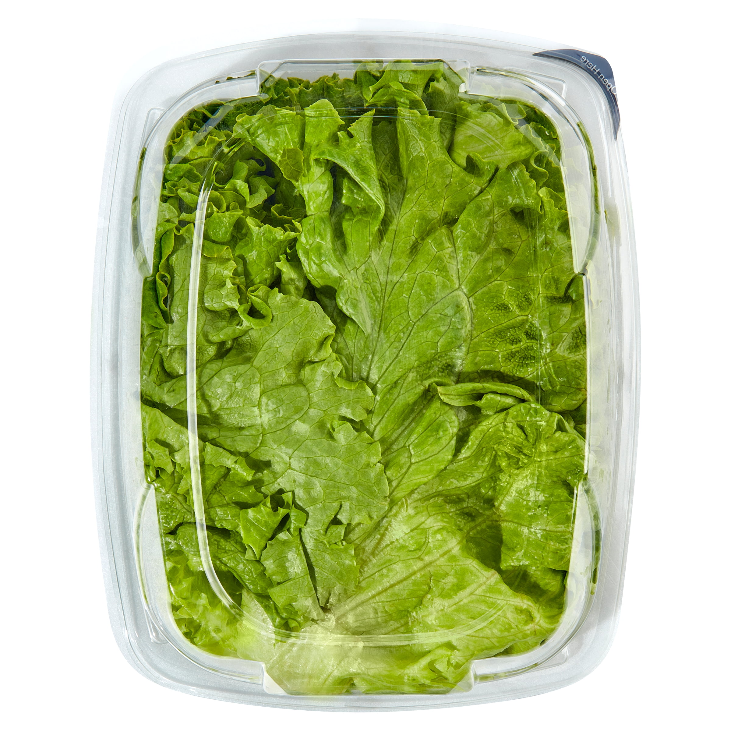 Green Leaf Lettuce Filet, 7 oz