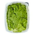 thumbnail image 4 of Green Giant Fresh Washed & Trimmed Green Leaf Lettuce, 7 oz, 4 of 5