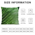 thumbnail image 5 of Chilfamy Green Palm Leaf Pillow Covers Decorative Tropical Jungle Banana Leaves Throw Pillow Covers  Square Cushion Cover for Home Sofa Couch 24x24in, 5 of 5