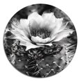 thumbnail image 2 of Designart "Desert Cactus Grey I" Floral Cactus Metal Round Wall Decor, 2 of 5