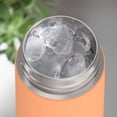 thumbnail image 4 of Thermos 16 oz. Kid's Funtainer Stainless Water Bottle - Orange, 4 of 4