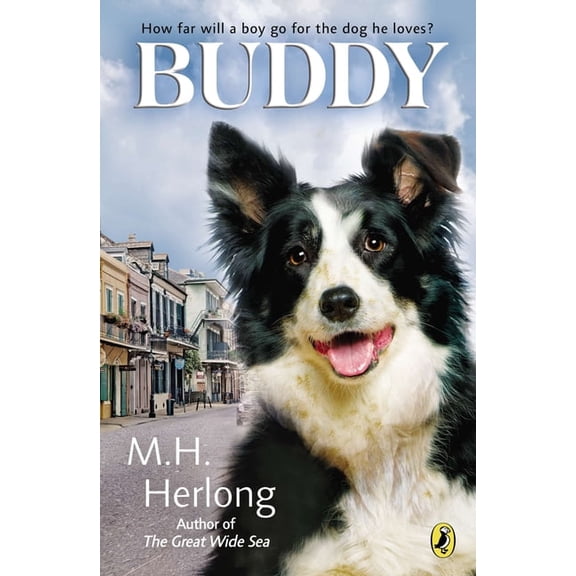 Buddy, (Paperback)