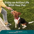 thumbnail image 5 of Dog Knee Brace for Torn ACL Hind Leg,Strong Support to Reduce Joint Pain and Muscle Sore, with Side Stabilizers for Back Leg, 5 of 5