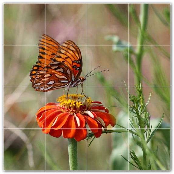 Picture-Tiles.com: Butterfly Ceramic Tile Wall Mural WAL500293-44XL. 48"W x 48"H using (16) 12" x 12" Ceramic Tiles-Satin Finish