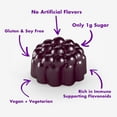 thumbnail image 5 of Sambucol, Black Elderberry, Immune Support Gummies with Vitamin C & Zinc, Natural Berry, 60 Gummies 2 Packs, 5 of 6