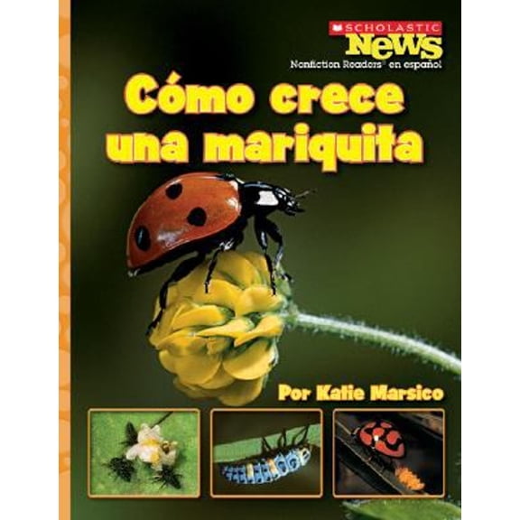 Pre-Owned Como crece una mariquita / A Ladybug Larva Grows Up (Scholastic News Nonficiton Readers En Espanol) (Spanish Edition) (Paperback) 0531206440 9780531206447