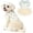Blue, variant on HQREA Floral Dog Dresses for Small Dogs Tutu Princess Dress Girl Pet Clothes for Puppy Cats