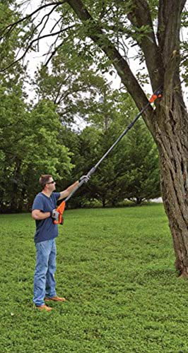 5 Best Pole Saws (2024 Guide) - This Old House