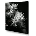 thumbnail image 2 of Designart "Monochromatic Coral Secrets" Coastal Coral Under Water Canvas Wall Art, 2 of 7