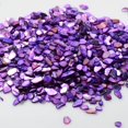 thumbnail image 2 of Sinkoo Crushed Shells for Crafts About 0.66LB (300g/11.64oz) Small Natural Crushed Shells Bulk for Crafts DIY Beaching Wedding Decoration Vase Fillers (Purple), 2 of 6