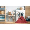 thumbnail image 2 of Ahgly Company Tapis d'Intérieur Lavables en Machine, Rectangle Rouge Transitionnel, 2' x 4', 2 of 7
