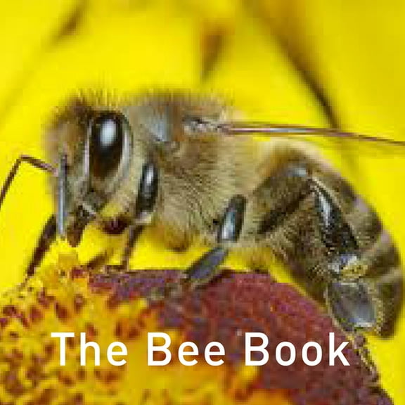 The Nature Book Series: The Bee Book (Hardcover)