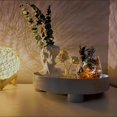 thumbnail image 4 of Plateau de Rangement pour Salon Aromathérapie Cosmétiques Plateau Rond pour Fruits Ornements wish, 4 of 5