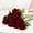Wine Red, variant on 10 Pcs Artificial Silk Roses,Realistic Velvet Roses Flowers,Fake Roses Artificial Flowers With Long Stems,Faux Rose Bouquets For Mother'S Day,Wedding,Valentines Day Decorations,(Wine Red,21.07 in)