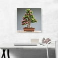 thumbnail image 2 of ARTCANVAS Bonsai, Japanese Mini Tree Canvas Art Print - Size: 18" x 18" (1.50" Deep), 2 of 9