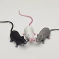 thumbnail image 3 of PENGXIANG Simulation Long Tail Mouse Rat Trick Joke Toy Photo Props Halloween Party Decor, 3 of 11