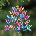 thumbnail image 1 of Adorno navideño acrílico de doble cara | Decoración navideña | Adorno para árbol | Regalo para familias, parejas y amantes de la naturaleza | Adorno decorativo para exhibir todo el año, 1 of 4