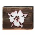 thumbnail image 1 of Designocracy 98421-18 Hibiscus Flower Art on Board Wall Decor, 1 of 1