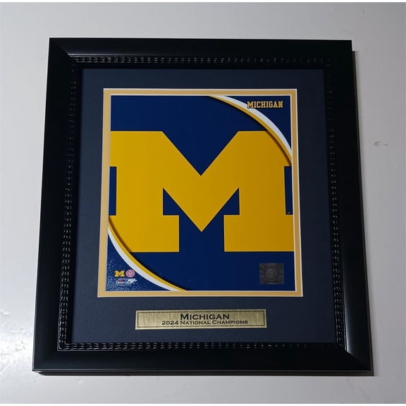 Michigan Football 11x14 Framed photo