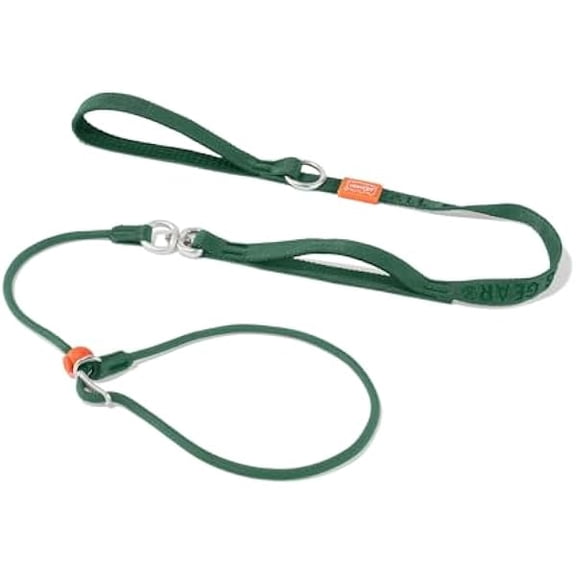 Eryueer Howgo Dog Slip Lead Dog Leash, Training Leash, No-Pull Lightweight Slip Lead and Collar, Heavy Duty & Durable, Padded Handle, for All Breeds (Green, 5.5FT)