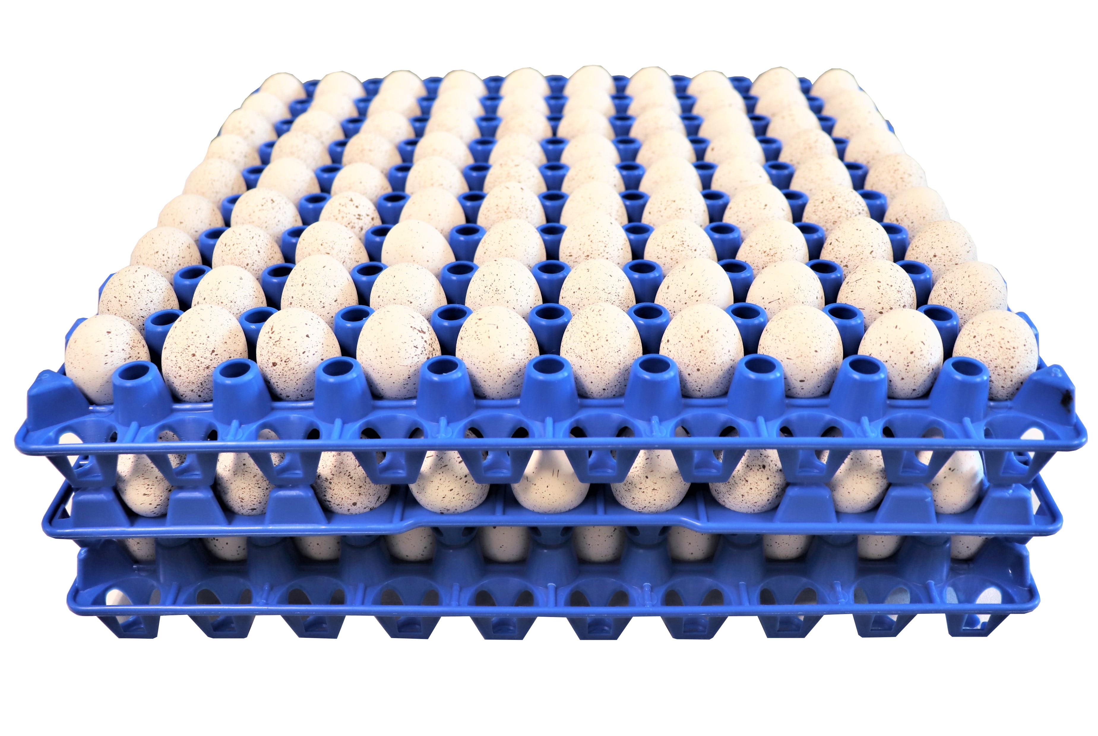 48 RITE FARM PRODUCTS 90 EGG PLASTIC TRAYS QUAIL PIGEON DOVE BIRD FLAT CARTON