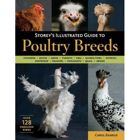 Storey's Illustrated Guide to Poultry Breeds - (Best Dragonvale Breeding Guide)