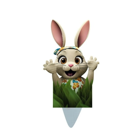 

ZHENYANGli Surprise Bunny Easter Insert Card You ve Found The Easter Egg