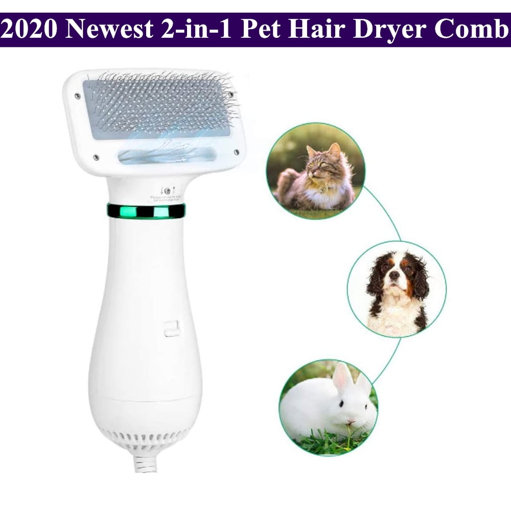 Can I Use Blow Dryer On A Dog