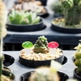 thumbnail image 5 of PAMINGONO 20Pcs Decorative Mushroom Funny Mini Mushroom Craft for Fairy Garden 3.0x0.6x0.3in, 5 of 8