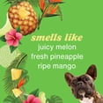 thumbnail image 2 of Hempz Petz Sweet Pineapple & Honey Melon Sensitive Shampoo with Oatmeal Complex to Help Calm & Comfort Skin, 17 fl oz, 2 of 6