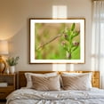 thumbnail image 4 of Tiny Dragonfly - Photography Dragonfly Insect Nature Wildlife Botanical Floral Garden Unframed Wall Art Print 6 x 8 inches, 4 of 6