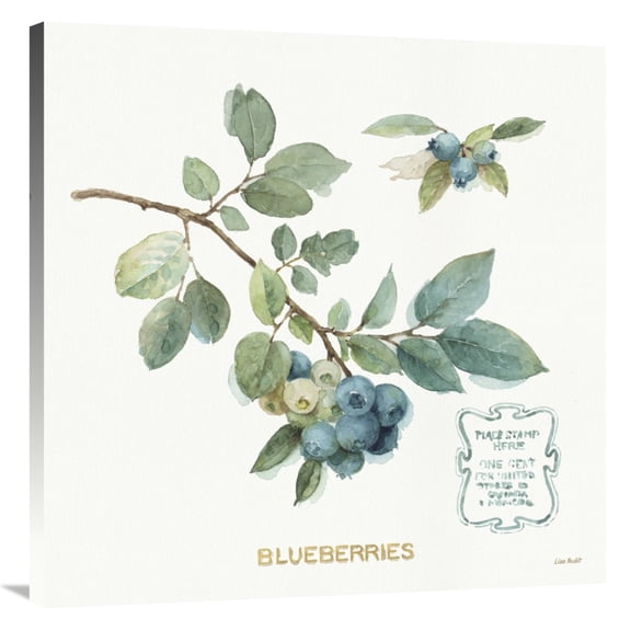 Global Gallery's 'My Greenhouse Fruit II' By Lisa Audit Stretched Canvas Wall Art