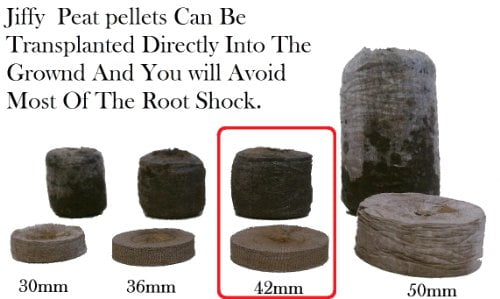 100 Jiffy Peat Pellets 42mm 1 Seeds Starting Jiffy Peat Pellet Helps to Avoid Root Shock 100 Jiffy 7 Peat Pellets 42mm 