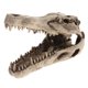 thumbnail image 4 of Cueva de Escondite de con Dinosaurio, , Y de Acuario Sunnimix Adorno de dinosaurio de acuario, 4 of 8