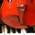 thumbnail image 1 of Violin Fittings Set, Violin Accessories, With Tailpiece With Endpin For Enthusiast Learner Beginners Professionals, 1 of 8